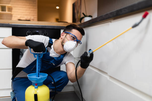 Best Pest Removal Services  in Monroe, MI