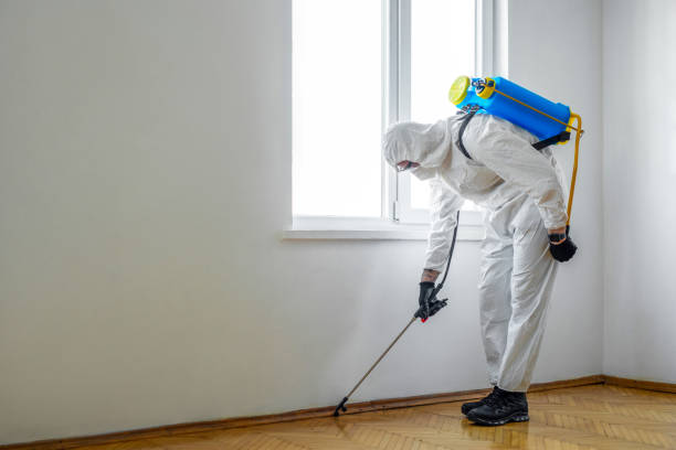  Monroe, MI Pest Control Pros