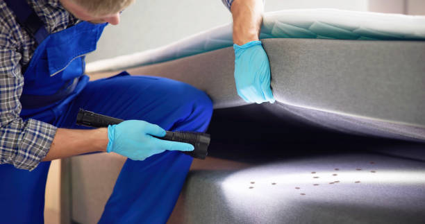 Best Affordable Pest Control Services  in Monroe, MI