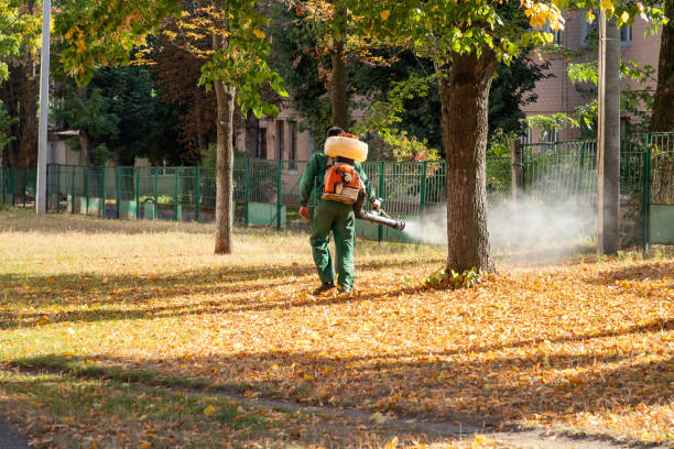 Best Pest Inspection Near Me  in Monroe, MI