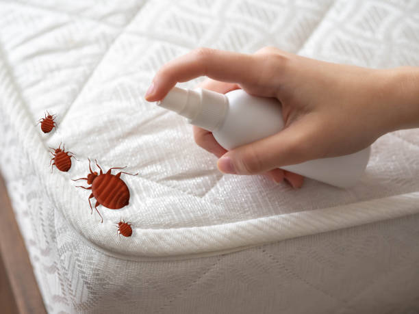 Best Exterminator Services  in Monroe, MI